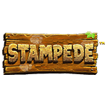 Stampede