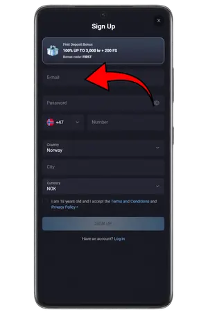 Vennligst skriv inn din personlige informasjon for å spille Reactoonz